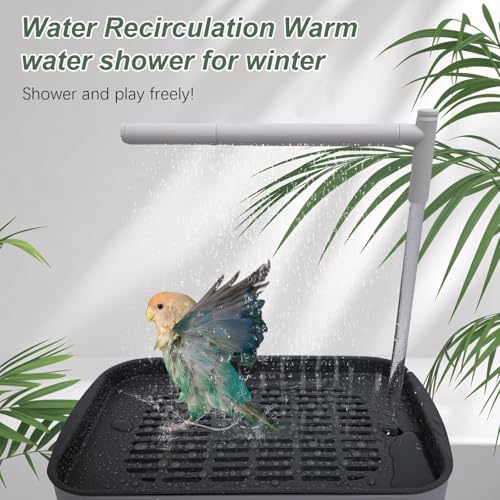Baignoire oiseau automatique rechargeable avec système de circulation d'eau