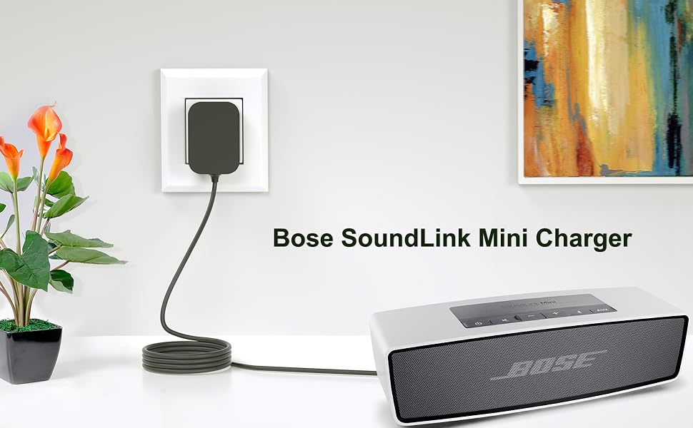 Amazon.com: FGIEU 12V Speaker Charger for Bose SoundLink Mini (1st