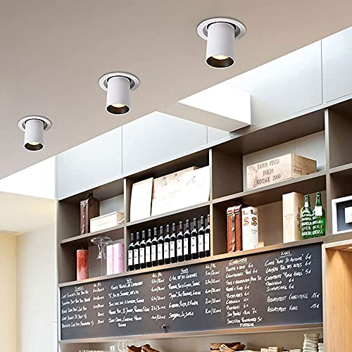 Focos direccionales de 20W regulables para crear ambientes únicos en el salón 3