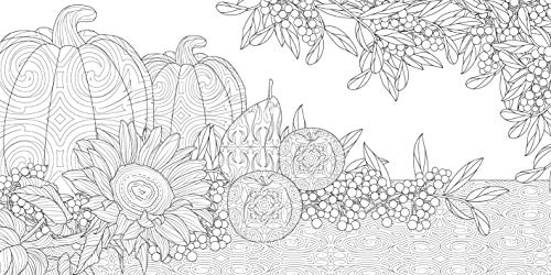 Wonderful Gardens: A Floral Adventure Coloring Book