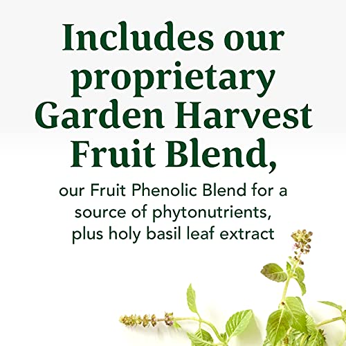 Megafood Turmeric Curcumin Minis - Made With Turmeric Root And Extract, Vitamin C, And Black Pepper Extract - Vegan, Non-Gmo, Kosher, And Made Without 9 Food Allergens - 60 Tabs (30 Servings) #TOP4