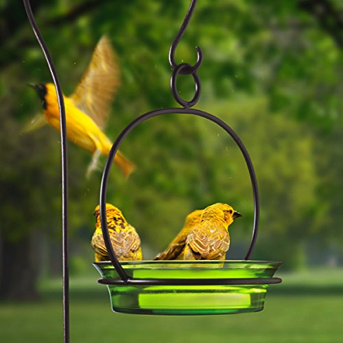 Glass Cuban Bird Bath Bowl G447VF Lime Hanging Mealworm Dish Birdbath Birdfeeder. Romantic Decor & More