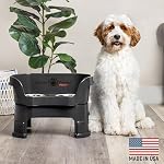 Neater Feeder Deluxe Mess-Proof Elevated Dog Bowls for Medium Dogs (19–40 lbs), 2 Height Adjustable (10” & 12.5”) No-Spill Raised Dog Bowl Stand, Stainless Steel Food Bowl Set, Made in USA, Black - Image 2