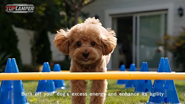 Dog Agility Hurdle Cone Set, Dog Agility Course Backyard Set with Height Adjustable Crossbar for Rehabilitation & Beginners, Dog Agility Equipment for Dog Obstacle Course Training Starter - 12 Inch - image 8
