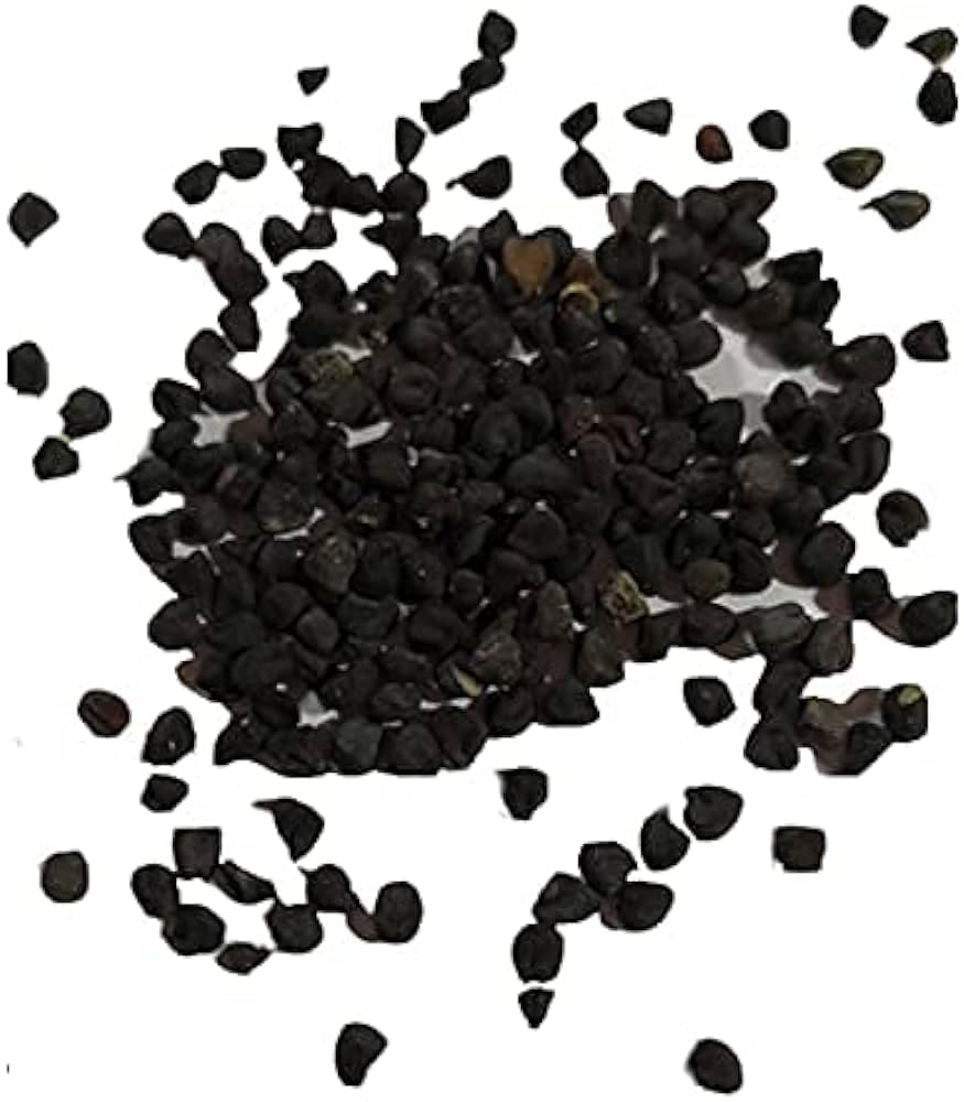 See full amazon price history chart for Curry Leaf Seeds Pack Of 5 (Kari Patta Seeds) Curry Leaf Seeds Pack Of 5 (Kari Patta Seeds) (B0CN161Q9J) Amazon Price History, Amazon Price Tracker