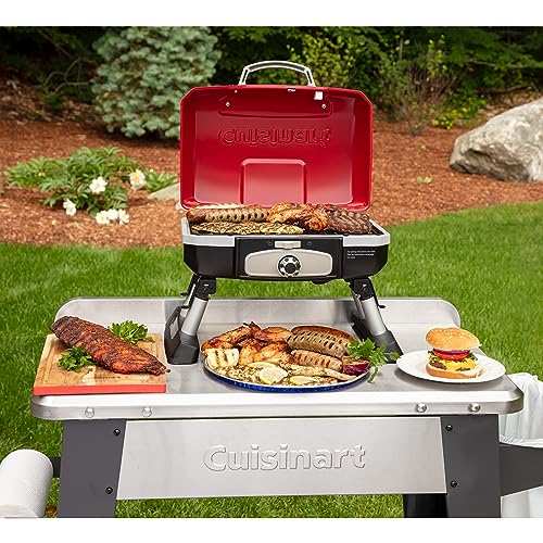 Best Natural Gas Grill Reviews 2020