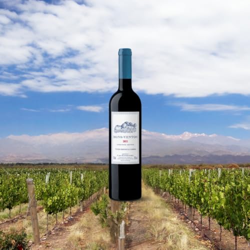 Quinta de Bons Ventos Vinho Tinto