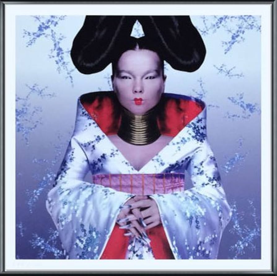 Bjork ビョーク　ポスター Amazon.co.jp: ポスター ビョーク Bjork（ビョーク）/Homogenic