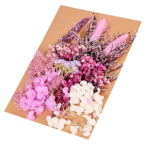 Kit de Flores Secas DIY para Manualidades y Decoración