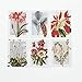 Winter Botanicals Note Cards: Note Cards and Envelopes: Set of 12 (New York Botanical Garden)
