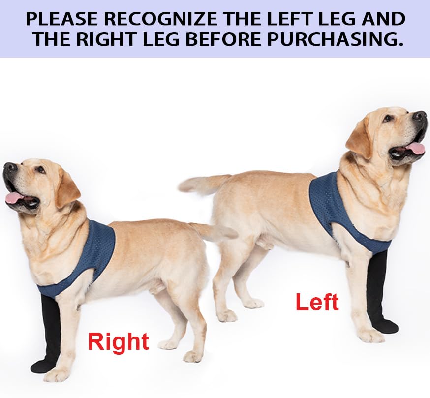 COODEO Dog Socks to Prevent Licking Paws, Front Leg Only, Waterproof Healing Boots with Non-Slip Bottoms - Image 2