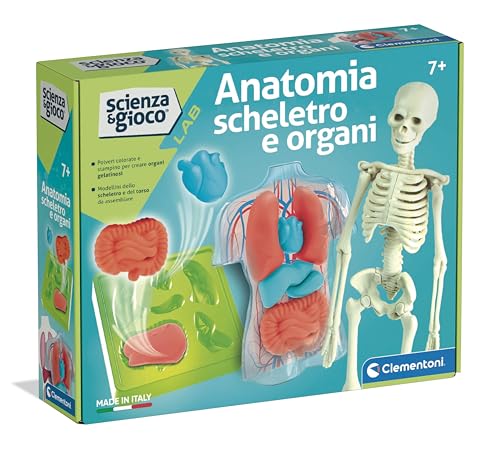 ANATOMIA SCHELETRO E ORGANI: un gioco scientifico per scoprire com'è fatto il corpo umano, ricostruendo scheletro e organi, stimolando la curiosità e l'apprendimento