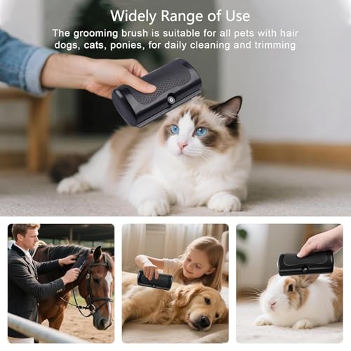 SMEILEE Hundebürste, Groomify Bürste, Wunderbürste Hund, Groomify Hundebürste Kurzhaar für Hunde Katzen und andere Haustiere