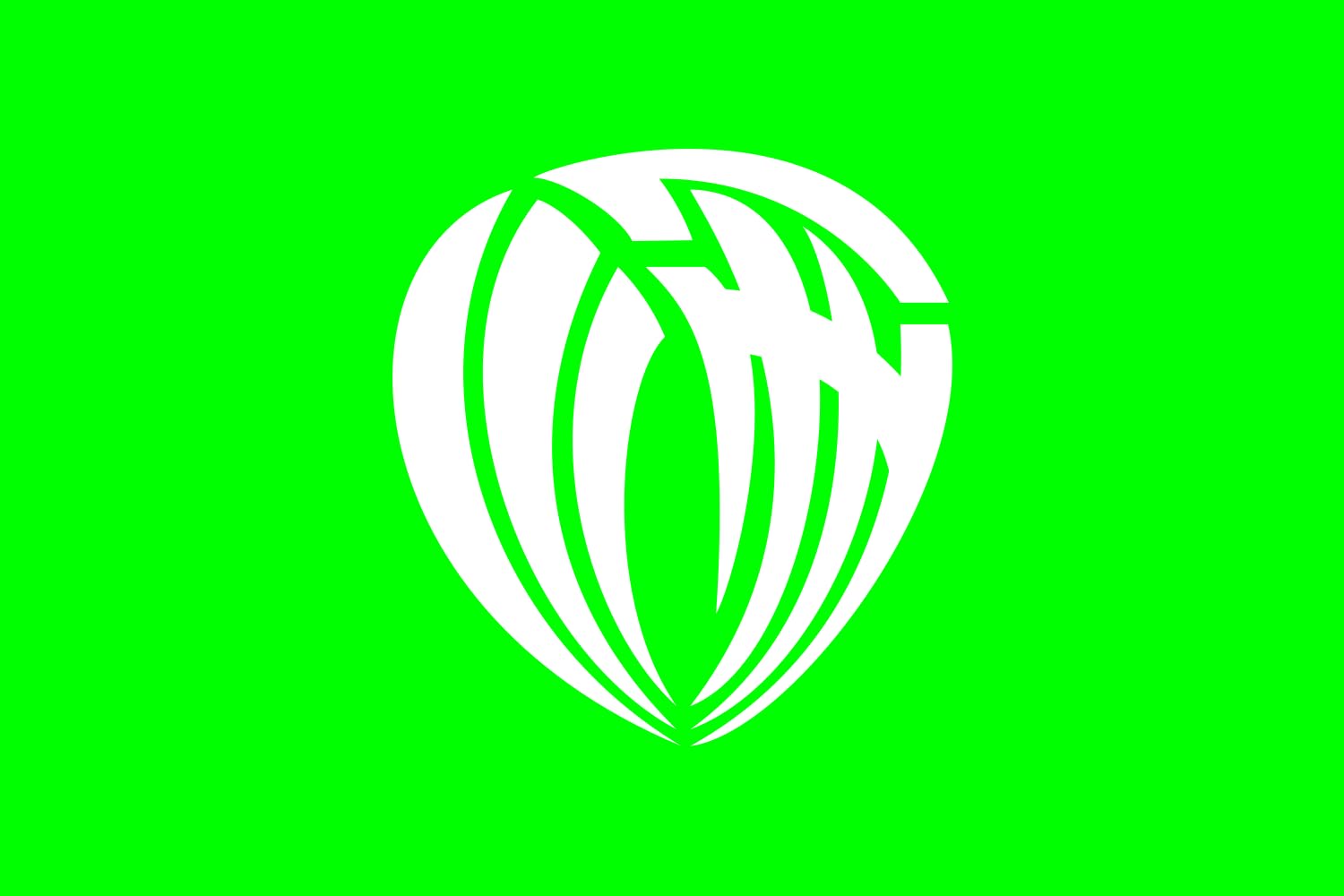 Drapeau Kawanishi Niigata 1968-2005 grand format emblème japonais