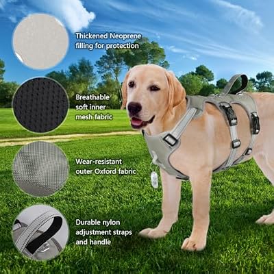 FEimaX Dog Harness No Pull Soft Padded Dog Vest with 3 Leash Clips and Easy Control Handle Reflective Adjustable No Choke Pet Harnesses for Medium and Large Dogs Training Walking (Grey, Small)