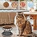 Otauoaea 2 Stück Katzennapf Erhöht, Erhöhter Futternapf Katze, Fressnapf Katze Flach, Cat Bowl mit Metallständer & rutschfeste Silikonmatte, Linderung von Schnurrhaarermüdung (A-Schwarz)