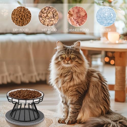 Otauoaea 2 Stück Katzennapf Erhöht, Erhöhter Futternapf Katze, Fressnapf Katze Flach, Cat Bowl mit Metallständer & rutschfeste Silikonmatte, Linderung von Schnurrhaarermüdung (A-Schwarz)