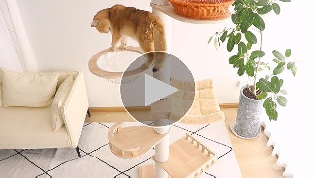 Amazon | 【なになにLife】 キャットタワー 突っ張り スリム