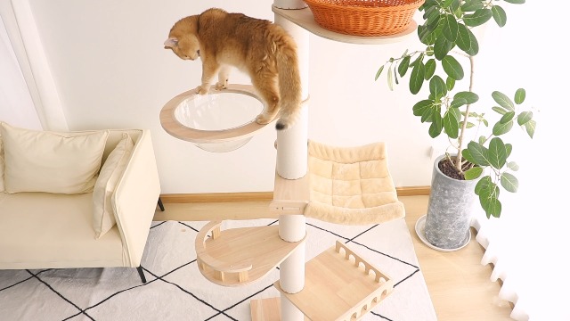 Amazon | 【なになにLife】 キャットタワー 突っ張り スリム 木製 超