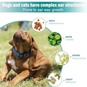 Pet Ear Wipes Ear Cleaner Finger Wipes for Cats and Dogs Soft  Easy Otic Cleaning Pads Pet Supplies for Regular Soothing Odor Control Reduce Dirt Wax Earwax Buildup50 Counts  Cucciolini Doodles Pet ear wipes ear cleaner finger wipes for cats and dogs soft  easy otic cleaning pads pet supplies for regular soothing odor control reduce dirt wax earwax buildup50 counts   cucciolini doodles