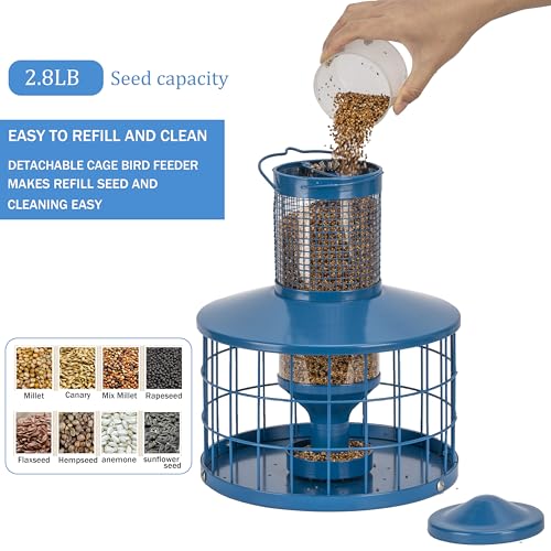 image for Mosloly Caged Bird Feeders Squirrel-Proof, Metal, 2.8 Lbs Capacity-Cag