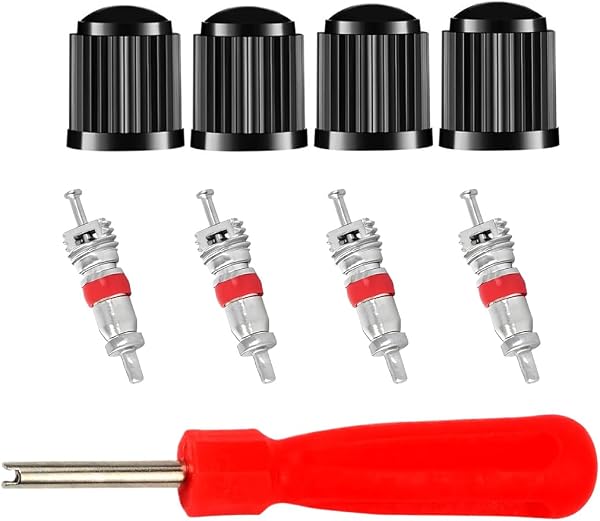 KAHZOR 9 pezzi Kit di rimozione valvole pneumatici, estrattore singolo, chiave per auto, attrezzi per ricambio, con nuclei e cappucci, per motocicletta - 1