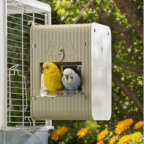 Nichoir à oiseaux de plein air pour l'observation éducative