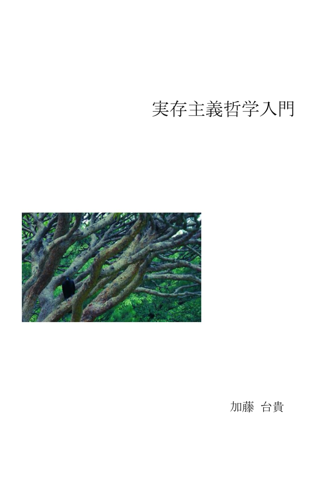 実存主義哲学入門