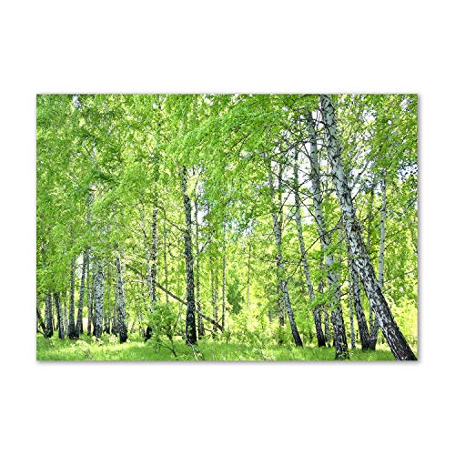 Crédence de cuisine en verre trempé contre éclaboussures motif forêt verte