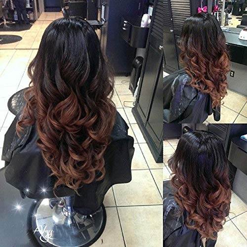 Loose Wave Brown Ombre Human Hair Lace Wigs Indian Remy Human Hair Wig Two Tone #1B/#4 (18inch, Lace Front Wig)