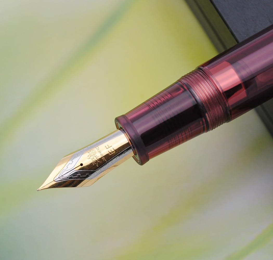 JINHAO DADAO 9019 Fountain Pen Acrylic Ink Pen with Ink Converter (Extra Fine Nib, Transparent Wine Red) - Image 2