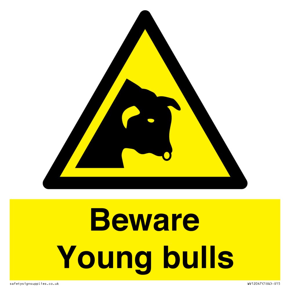 Beware Young bulls Sign - 150x150mm - S15