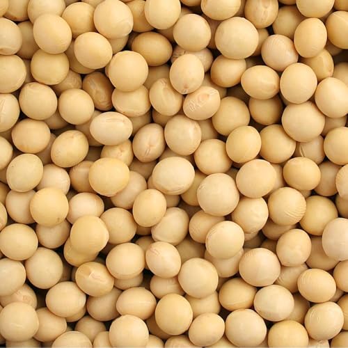 おおすず大豆 (2.8玉) (10kg) 青森県産 国産 お手頃価格でもとても美味しい。お味噌作りにも