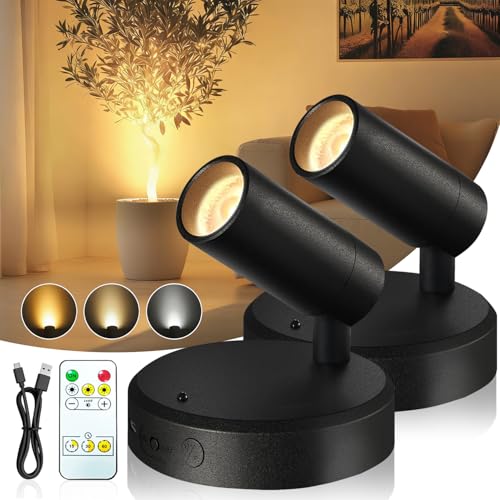Catálogo de Iluminación de pared para comprar hoy. 44 2 Pack Apliques de Pared LED,Focos Pecargables,3 Temperaturas de Color,Adecuados para Ilustraciones de Plantas,Exposiciones de Arte. (2 piezas Negras (retroiluminación de 3...