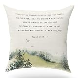 Scripture Sayings Throw Pillow Cover Cushion case, Christian Religious Decor Gift, Forget The Former