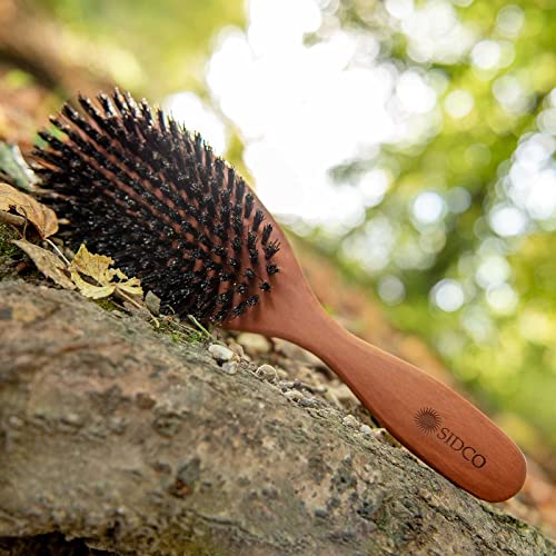 Foto von SIDCO Haarbürste Wildschweinborste Birnbaumholz mit Naturborsten Holzbürste 10 reihig braun