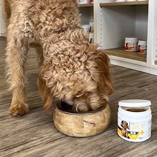 ReaVET Multivitamin Hund 300g I Vitamin Komplex Pulver Hund I Natürliche Vitamine & Mineralien I Ergänzungsfuttermittel Hunde I Fell, Vitalität, Immunsystem