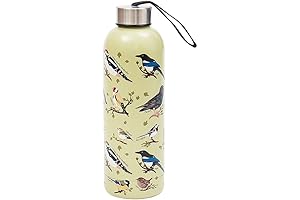 Wild Birds Green Premium Chilly Bottle: Your Hydration Companion for Active Lifestyles