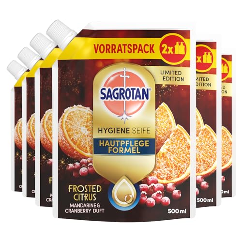 Sagrotan Handseife Frosty Citrus Limited Edition – Feuchtigkeitsspendend – 6 x 500 ml Handseife