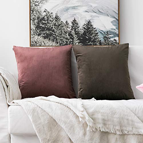Miulee Pack Of 2 Decorative Velvet Pillow Covers Soft Square Throw Pillow Covers Solid Cushion Covers Jam Pillow Cases For Sofa Bedroom Car 18 X 18 Inch 45 X 45 Cm #TOP3