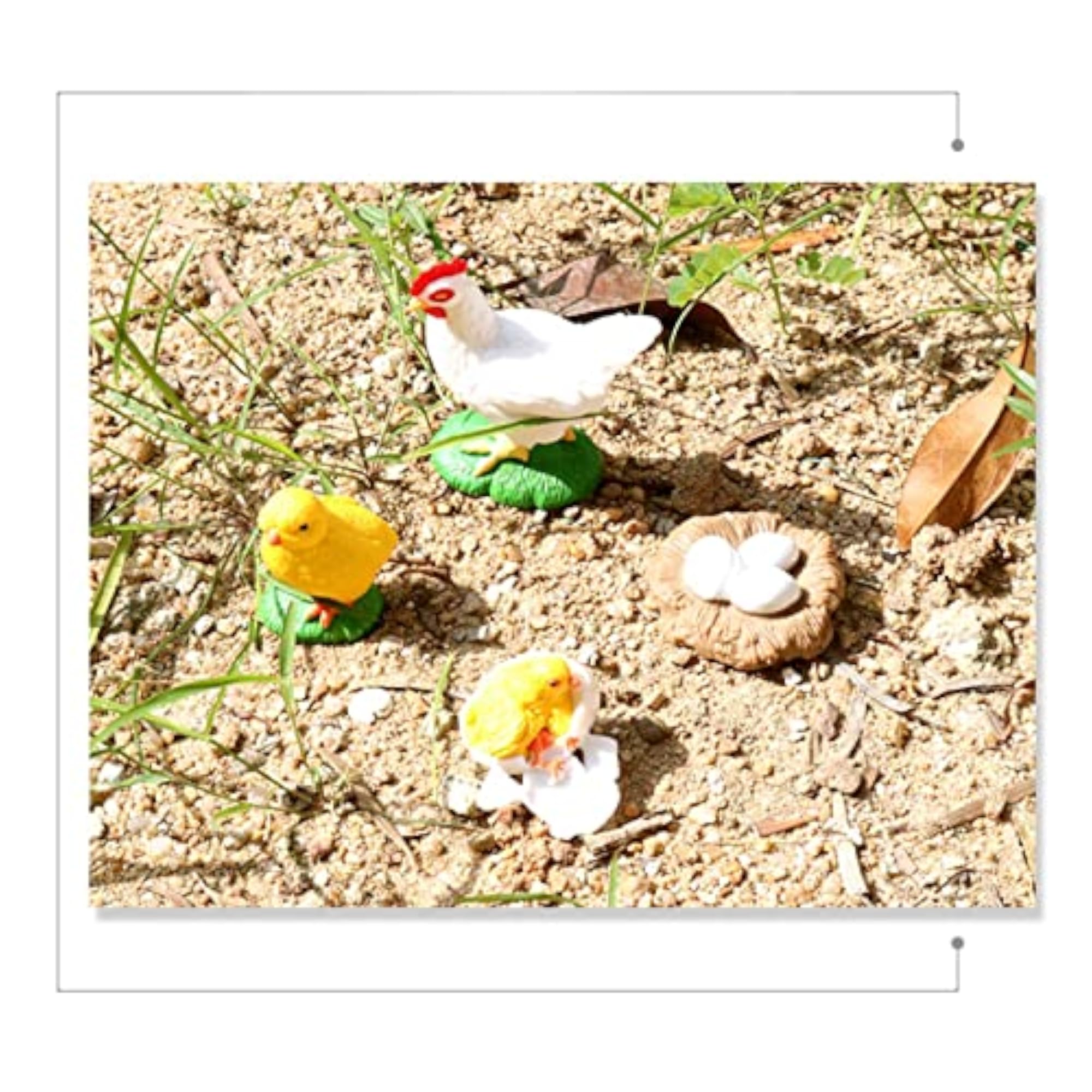 Poly Kids Insect Hen Growth Cycle Early Education Toy