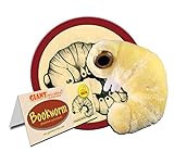 GIANTmicrobes Bookworm Plush – Learn About Science, Microbes, Books and Worms with This Adorable Gift for Friends, Family, Readers, Librarians, Scientists, Bibliophiles, Insect Fans and Nature Lovers