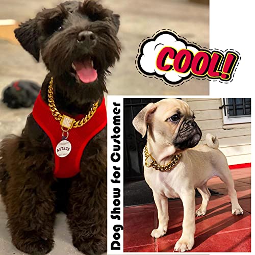 Pradog Gold Chain Dog Collar With Zirconia Buckle Stainless Steel Chain Collars Cuban Link Dog Collar Designer Bling Puppy Necklace (10Mm, 18") #TOP7
