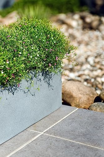 VIVANNO Blumenkasten Balkonkasten Pflanzkasten Beton grau FLOBO - 18x60x18 cm