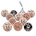 Andaz Press Glitzy Faux Rose Gold Glitter Milestone Chocolate Drop Labels, Cheers to 16 Years, Sweet 16 16th Birthday or Anniversary, 240-Pack, Not Real Glitter, Hershey's Kisses Party Favors