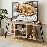 Manora TV Schrank Holz 120cm Lang mit Lowboard Funktion,TV Board Hoch im Landhausstil,Fernsehtisch mit 4 Offenen Fächern,TV Tisch in Eiche Optik,TV Sideboard für Wohnzimmer (Eiche)