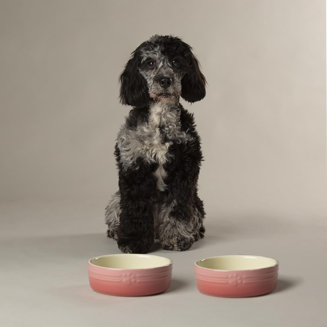Scruffs Ombre 2Pc Bowl Set - Pink 15Cm