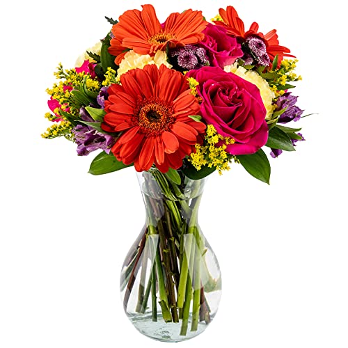 Delivery By Thursday,March 9Th,Arabella Bouquets Fresh Cut Everlasting Fling Day Flowers With Vase Flowers, Pink, Green And Orange #TOP2