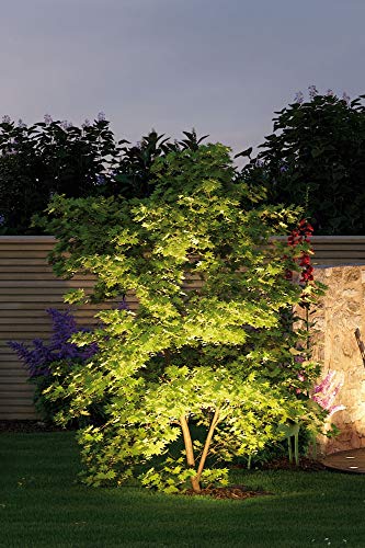 Paulmann 93934 Plug & Shine Spotlight Sting IP67 3000K 6W 24V Ausstrahlwinkel 100° 93934 LED Aussenbeleuchtung Erdspieß Gartenbeleuchtung