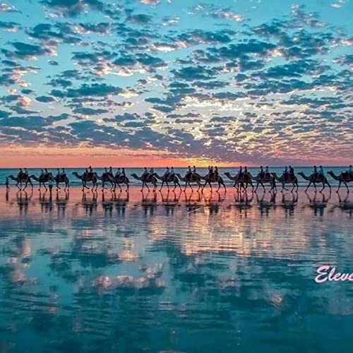 『====== كلمات الحياة" ، "أخبار جيدة" ، "ترانيم الإنجيل" - اللغات الرئيسية المستخدمة في الدولة إذا إر